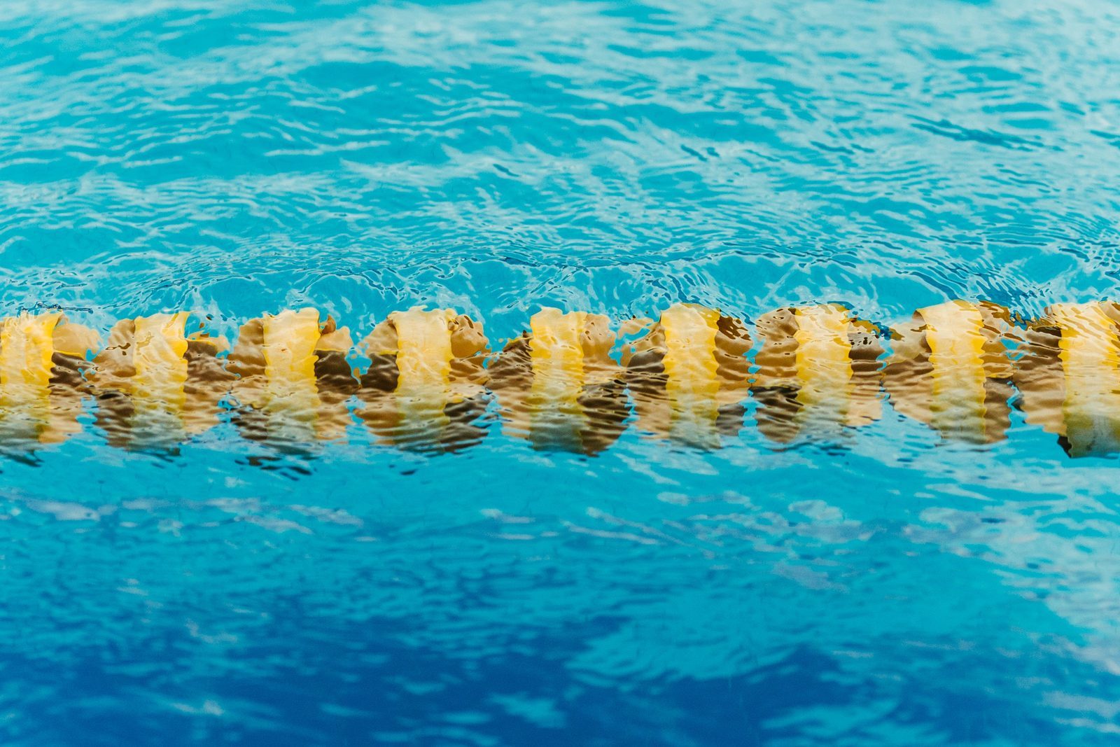 Swimming School for Timid Beginners